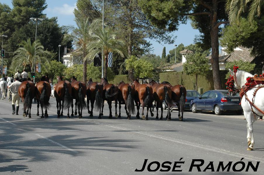 Foto de Jerez  de la Frontera (Cádiz), España