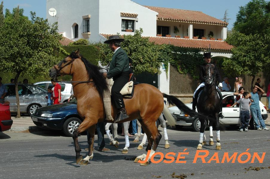 Foto de Jerez  de la Frontera (Cádiz), España