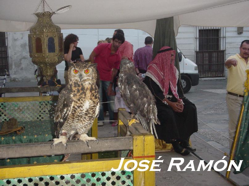 Foto de Jerez  de la Frontera (Cádiz), España