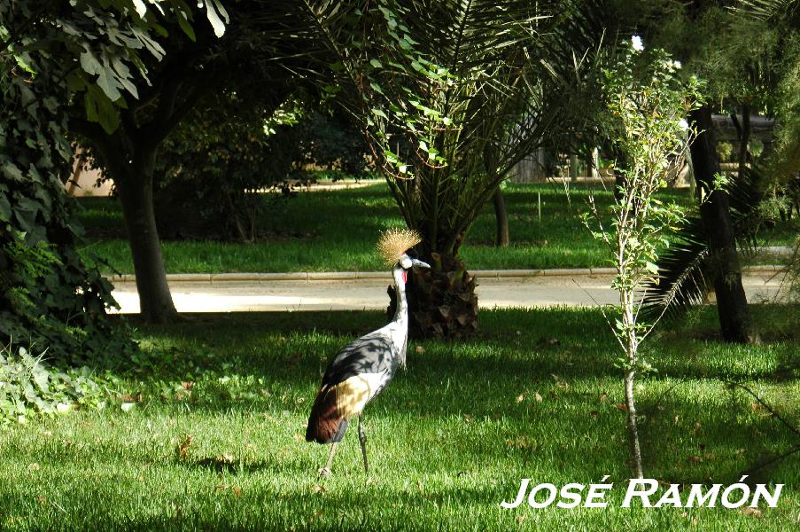 Foto de Jerez  de la Frontera (Cádiz), España