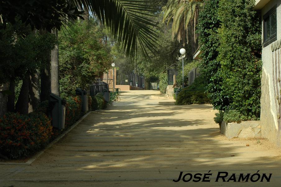 Foto de Jerez  de la Frontera (Cádiz), España