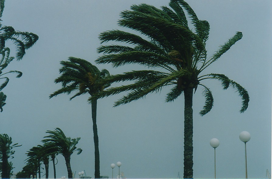 Foto de Cádiz (Andalucía), España