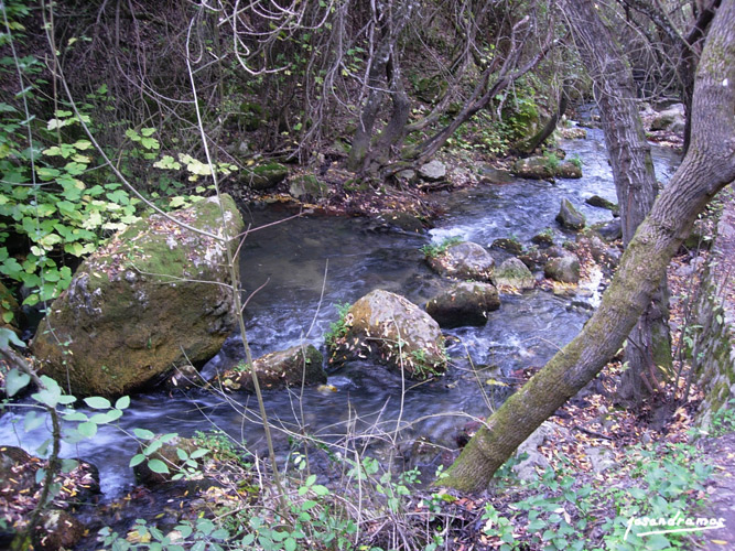 Foto de El Bosque (Cádiz), España