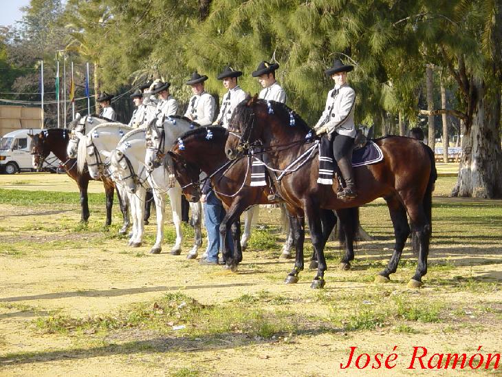 Foto de Jerez  de la Frontera (Cádiz), España