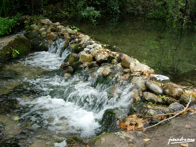 Foto de Benamahoma (Cádiz), España