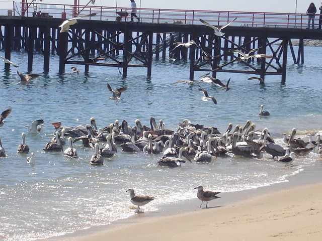 Foto de VALPARAISO, Chile