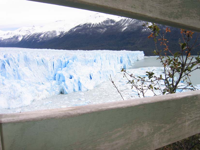 Foto de EL CALAFATE, Argentina