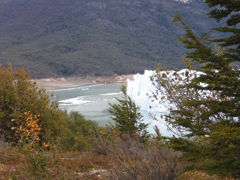 Foto de EL CALAFATE, Argentina