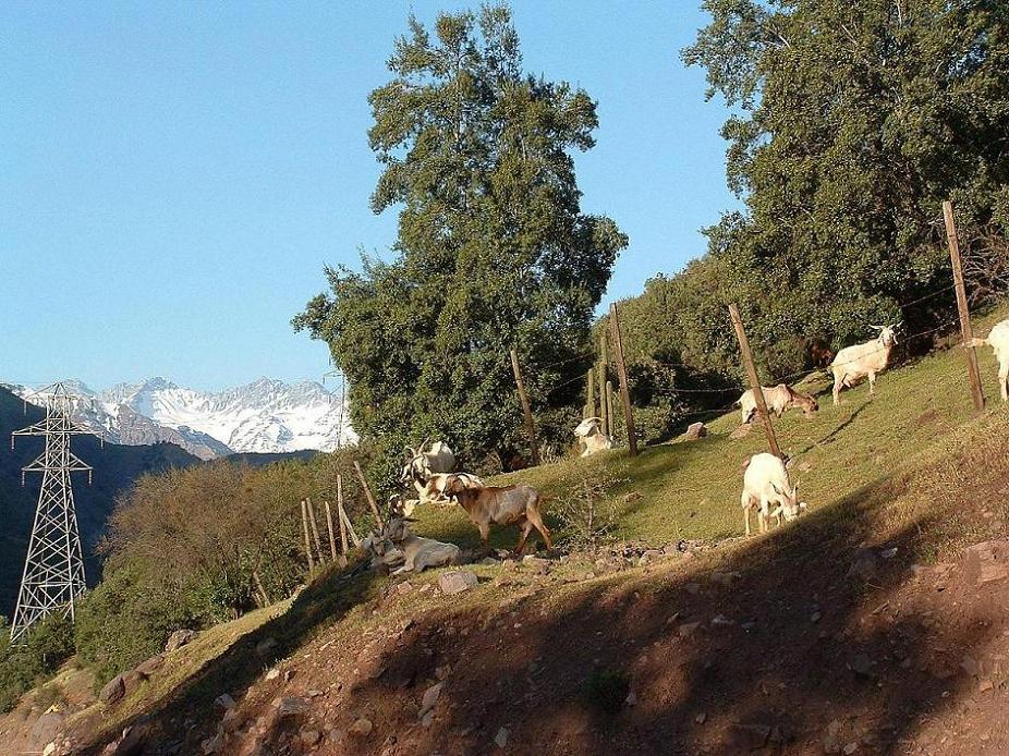 Foto de San José de Maipo, Chile