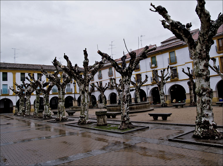 Foto de Ciudad Rodrigo (Salamanca), España