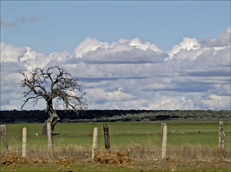 Foto de Rodas Viejas (Salamanca), España