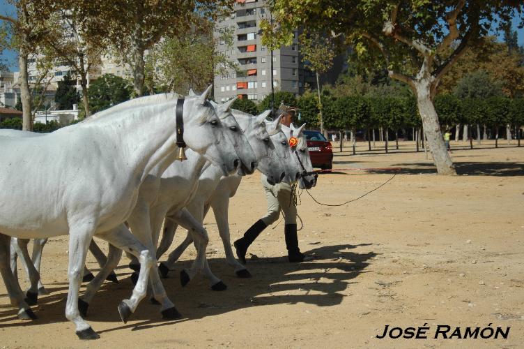 Foto de Jerez  de la Frontera (Cádiz), España