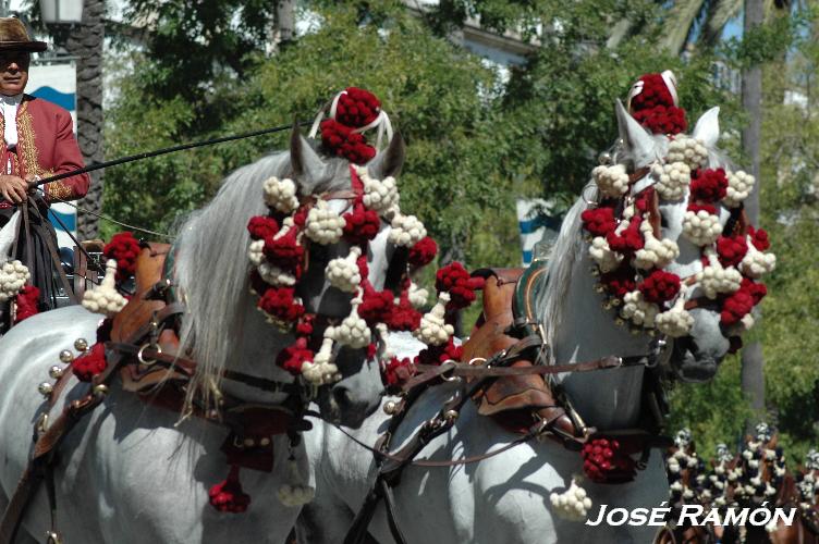 Foto de Jerez  de la Frontera (Cádiz), España