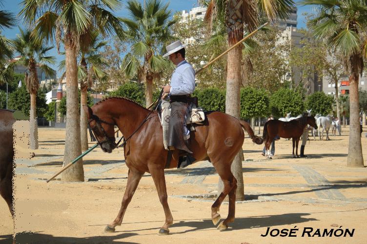 Foto de Jerez  de la Frontera (Cádiz), España