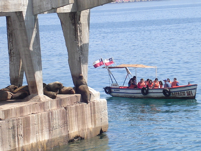 Foto de VALPARAISO, Chile