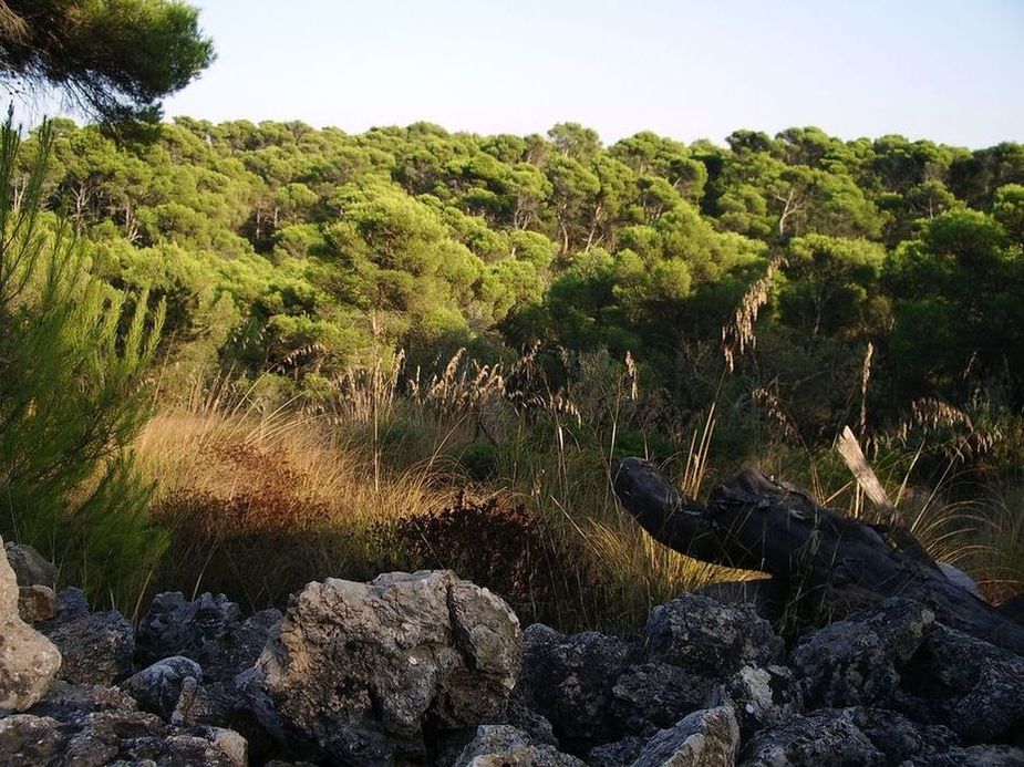 Foto de Ciudadela de Menorca (Illes Balears), España