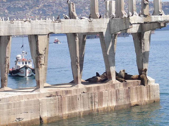 Foto de VALPARAISO, Chile