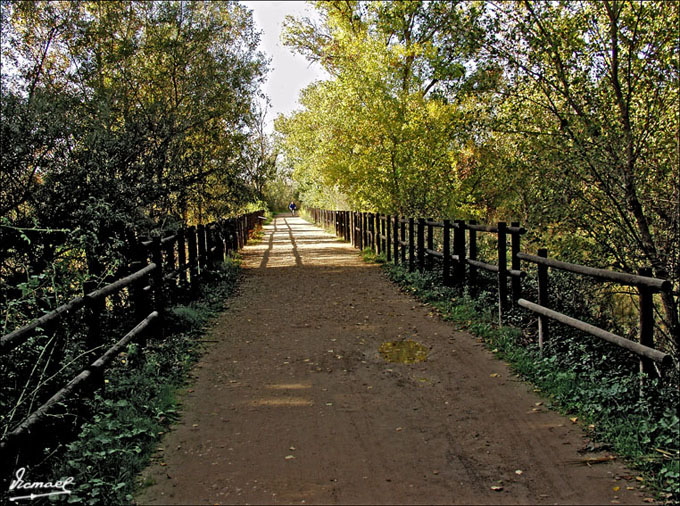 Foto de Zaragoza (Aragón), España