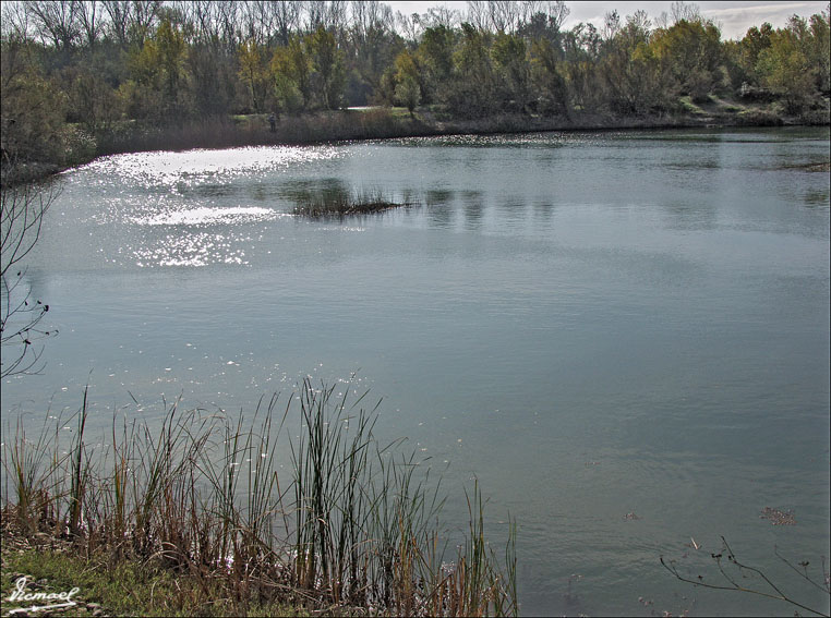 Foto de Zaragoza (Aragón), España