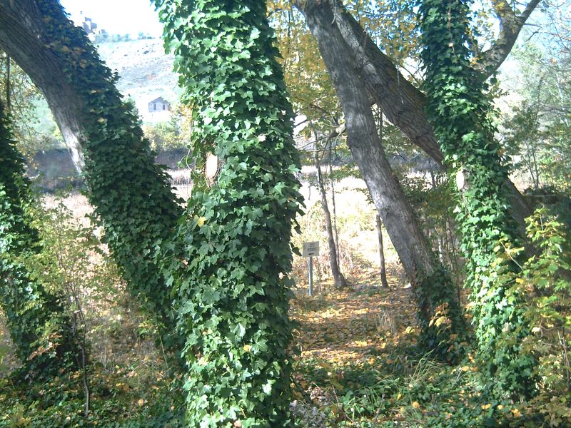 Foto de Soria (Castilla y León), España