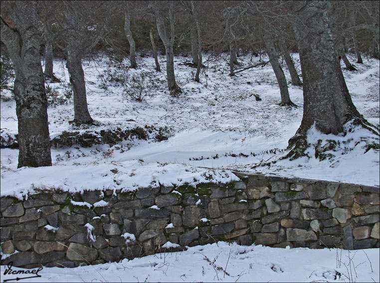 Foto de Vera de Moncayo (Zaragoza), España