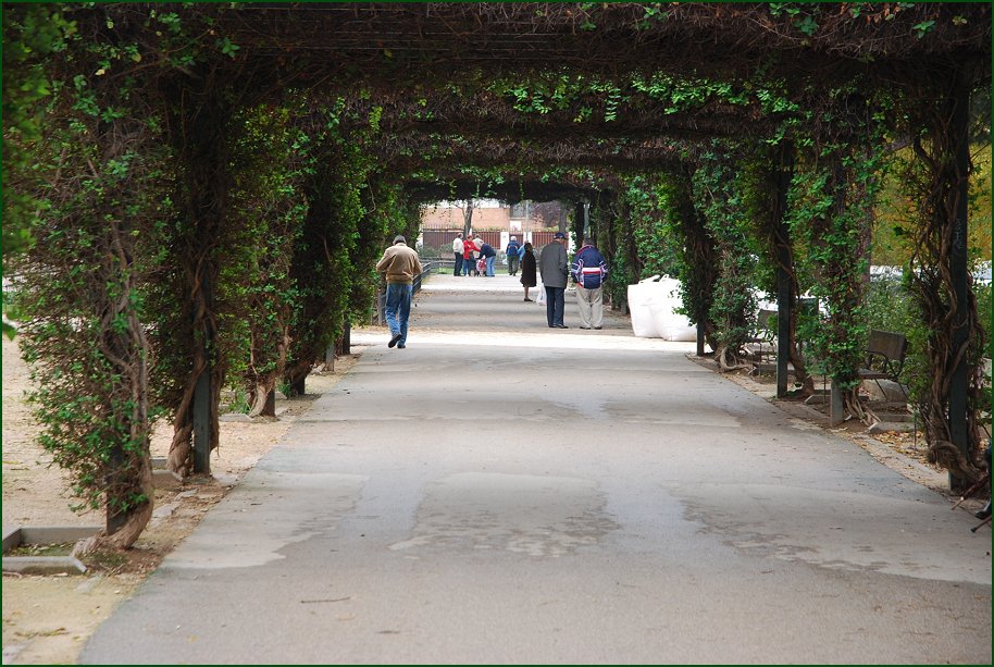 Foto de Madrid (Comunidad de Madrid), España