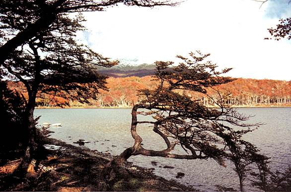 Foto de Tierra del Fuego, Argentina