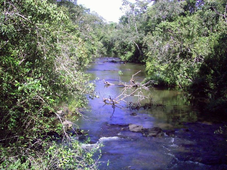 Foto de Iguazú (Argentina ), Argentina