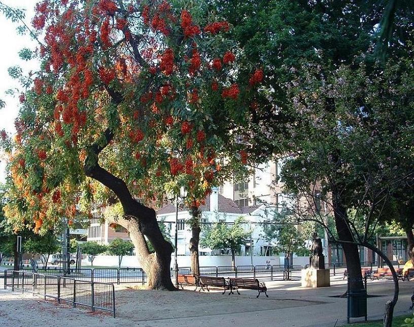 Foto de Santiago, Chile