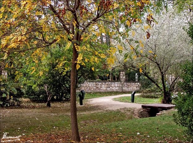 Foto de Zaragoza (Aragón), España