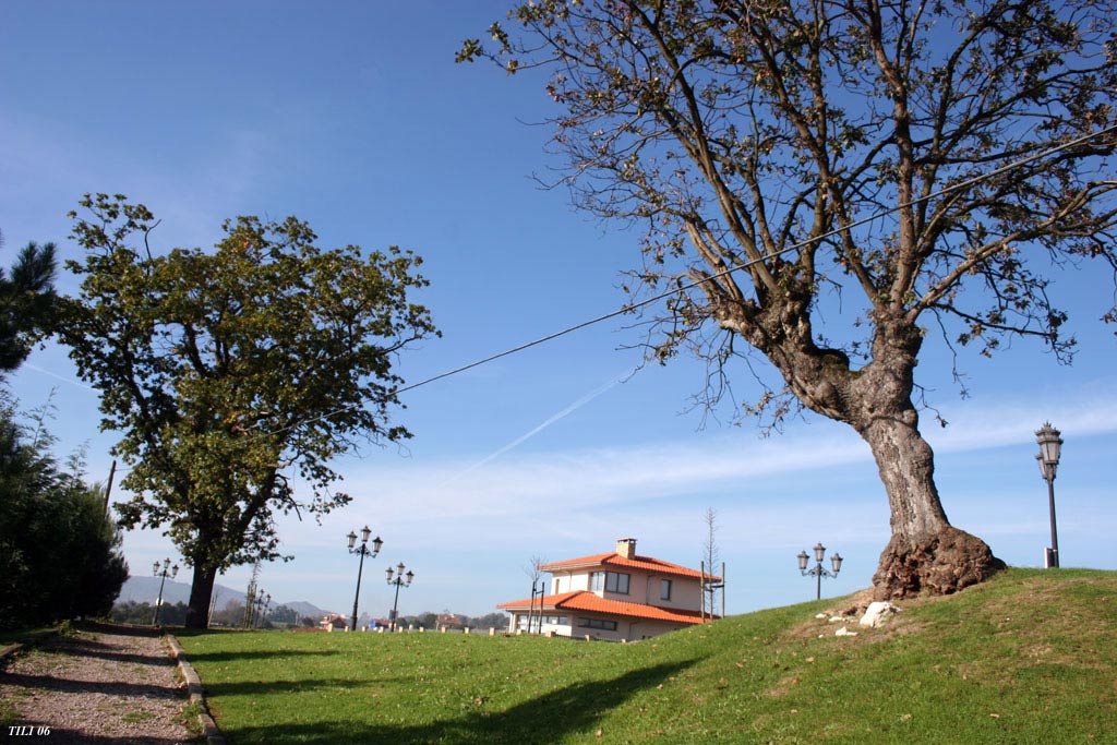 Foto de Oviedo (Asturias), España