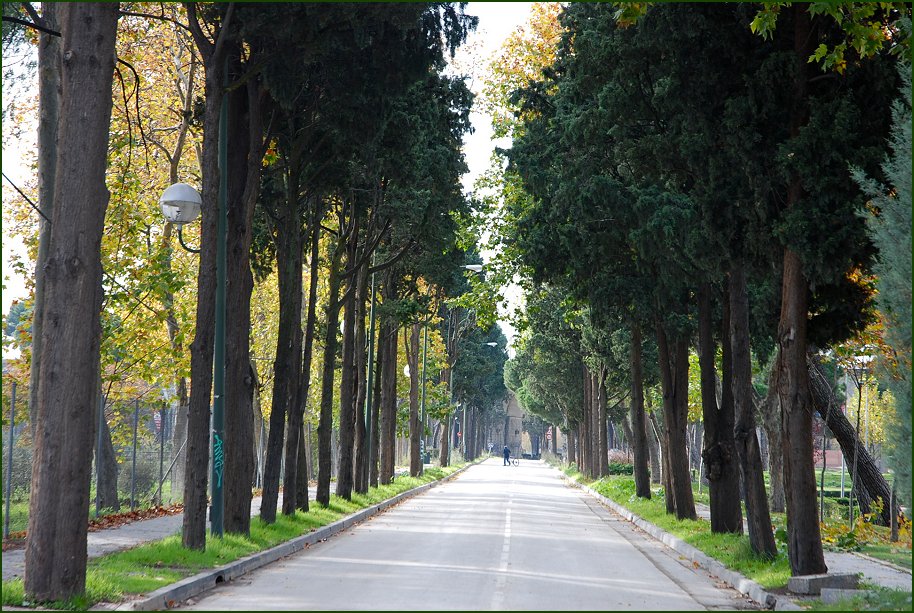 Foto de Madrid (Comunidad de Madrid), España