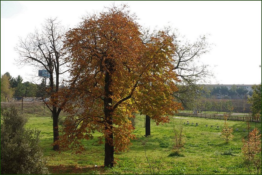 Foto de Madrid (Comunidad de Madrid), España