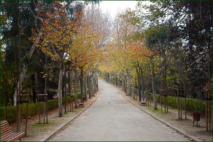 Foto de Madrid (Comunidad de Madrid), España