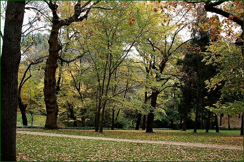 Foto de Madrid (Comunidad de Madrid), España