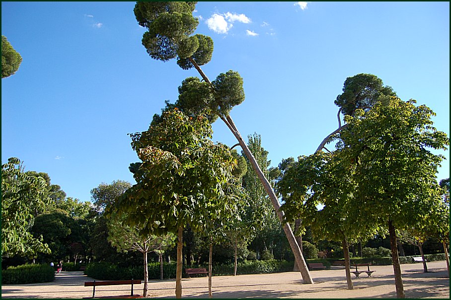 Foto de Madrid (Comunidad de Madrid), España