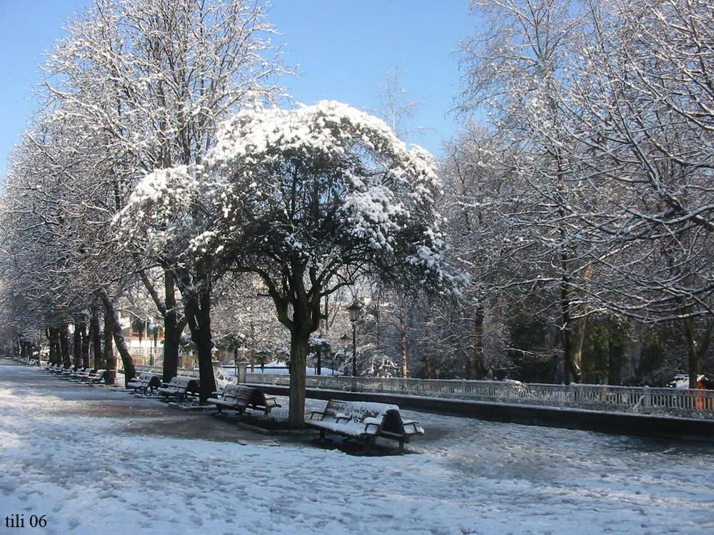 Foto de Oviedo (Asturias), España