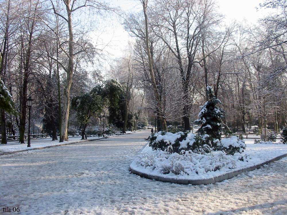 Foto de Oviedo (Asturias), España