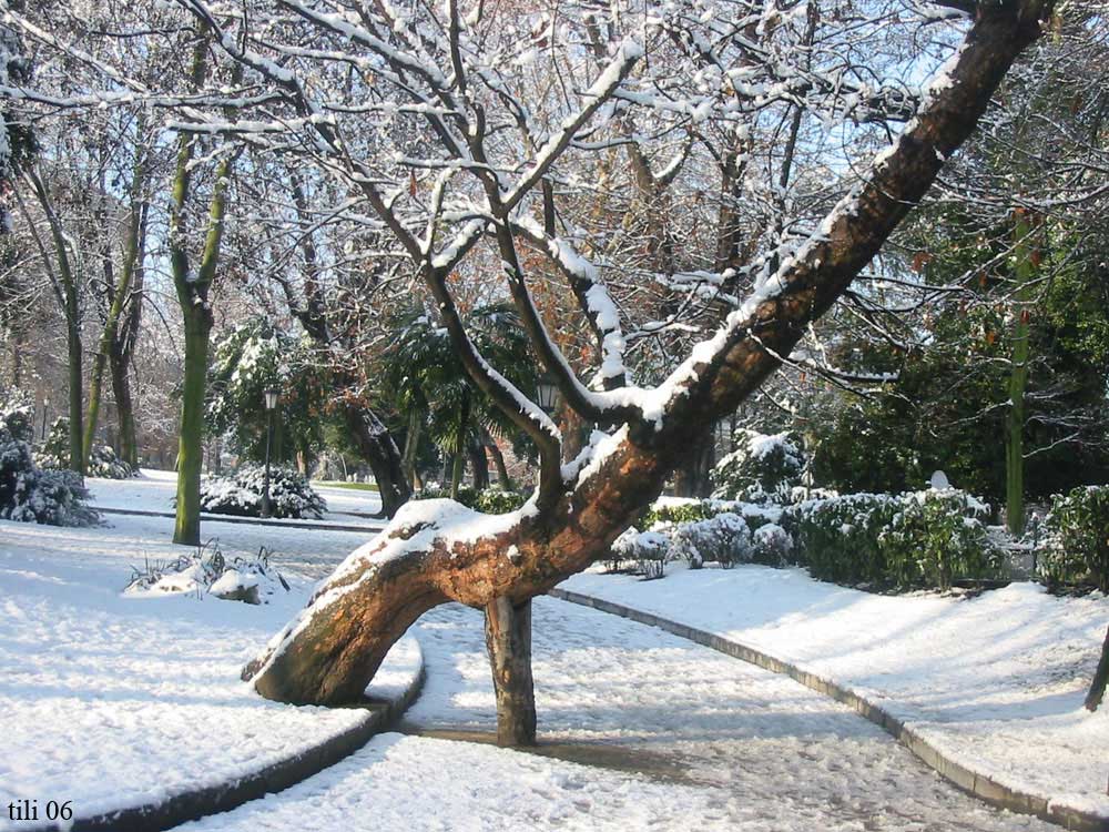 Foto de Oviedo (Asturias), España