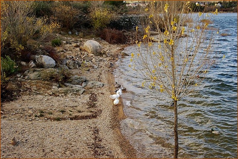 Foto de Navacerrada (Madrid), España