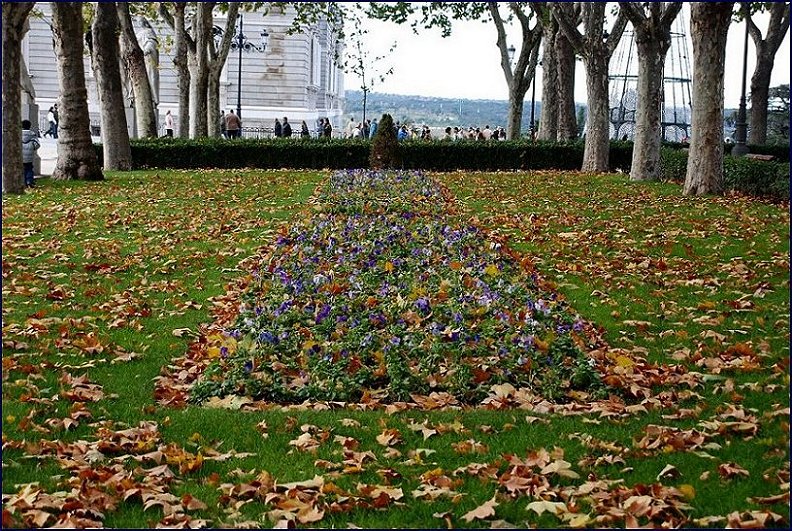 Foto de Madrid (Comunidad de Madrid), España