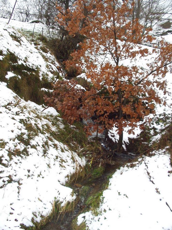 Foto de Portillo de Lunada (Cantabria), España