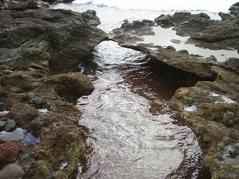 Foto de El Médano-Tenerife (Santa Cruz de Tenerife), España