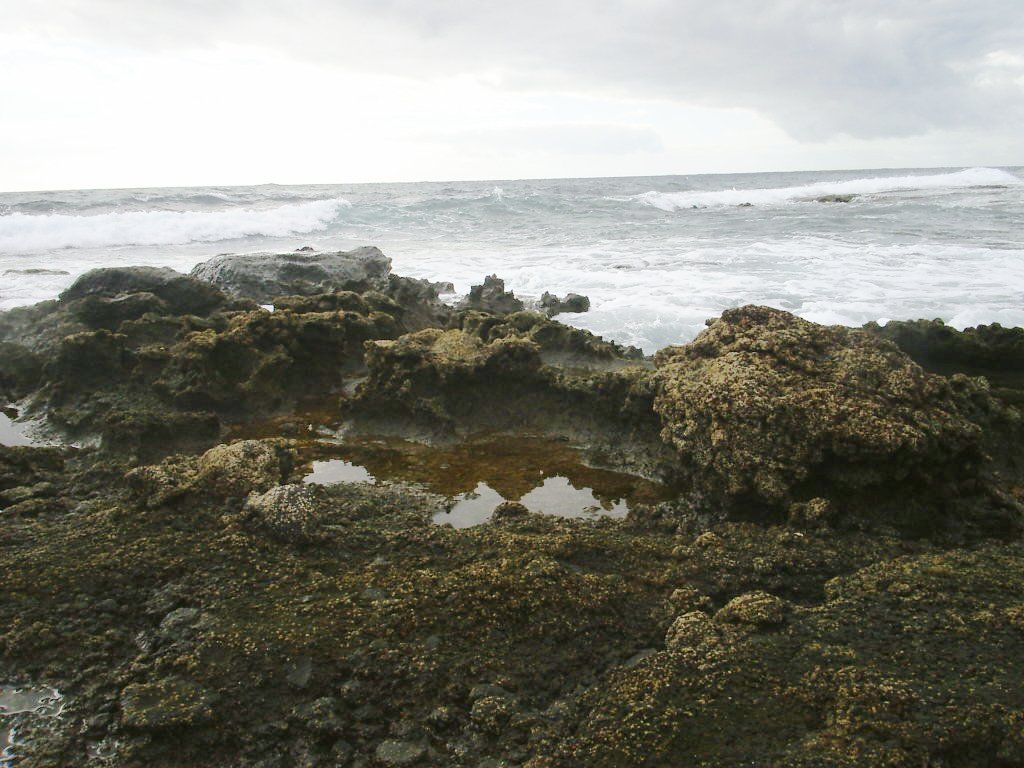 Foto de El Médano-Tenerife (Santa Cruz de Tenerife), España