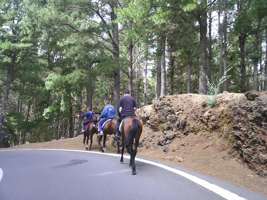 Foto de Tenerife (Santa Cruz de Tenerife), España