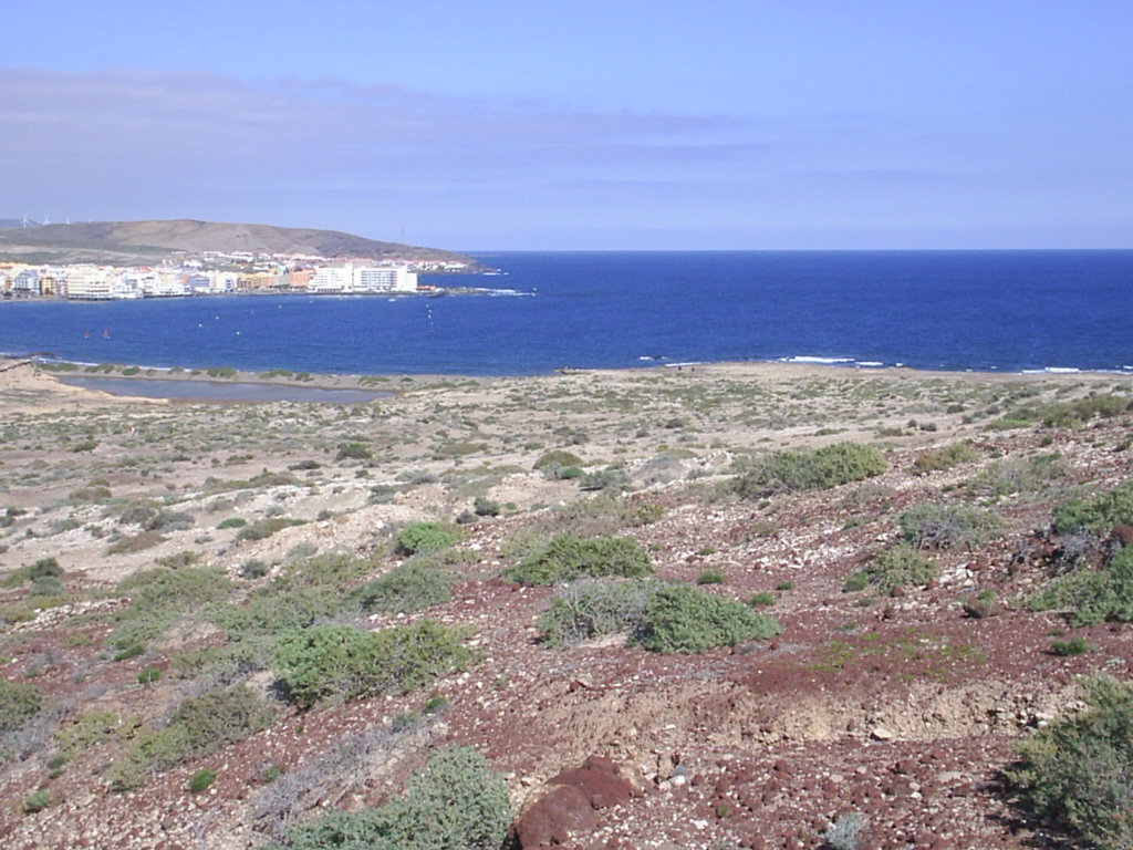 Foto de El Médano-Tenerife (Santa Cruz de Tenerife), España