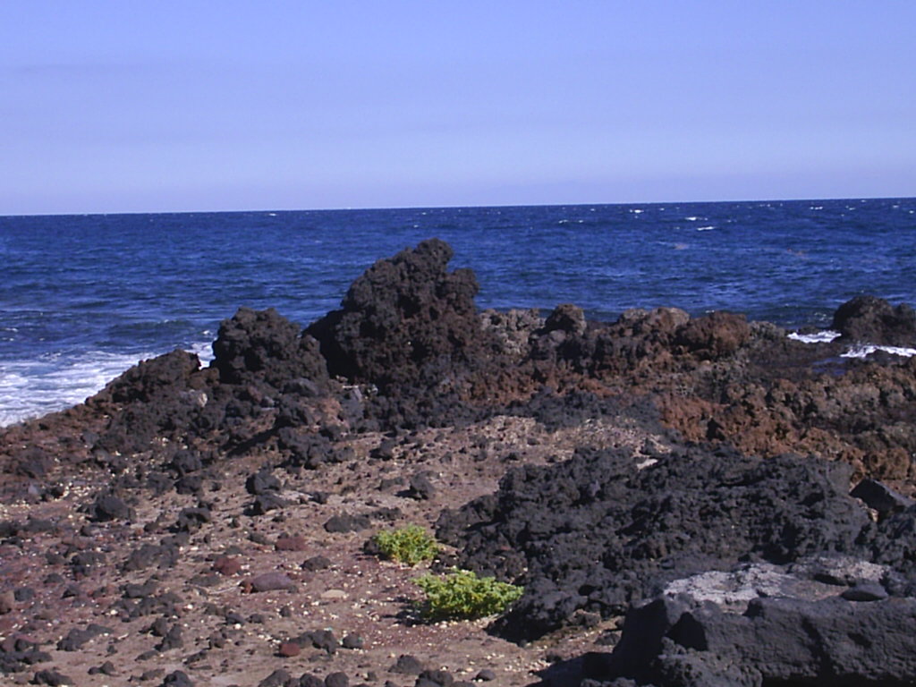 Foto de El Médano-Tenerife (Santa Cruz de Tenerife), España