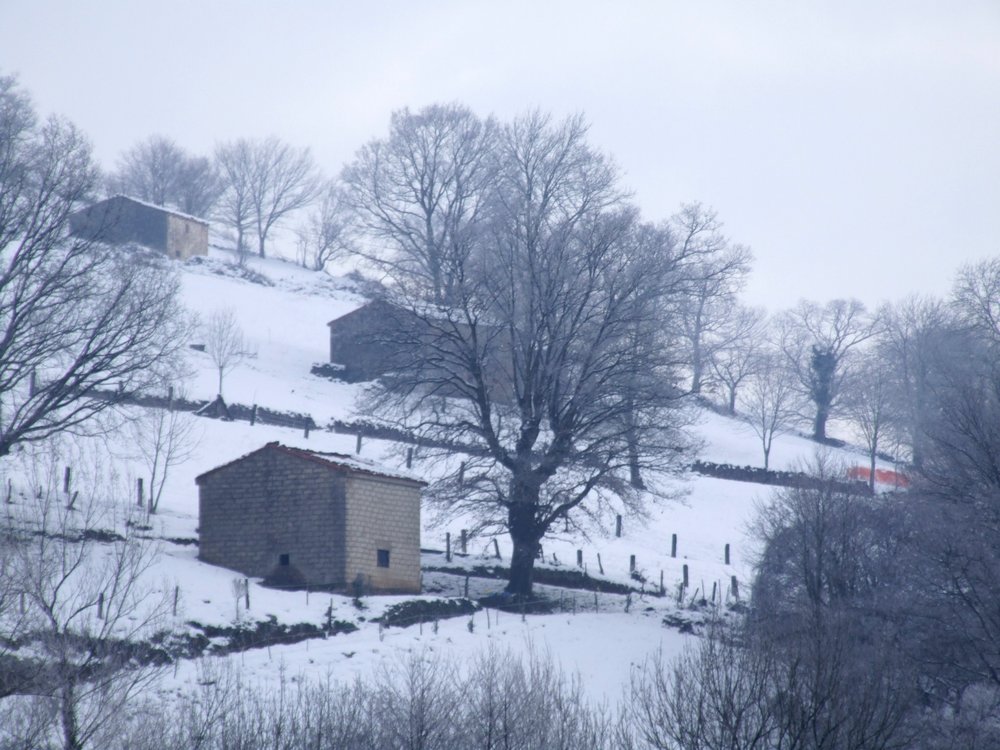 Foto de Vega de Carriedo (Cantabria), España