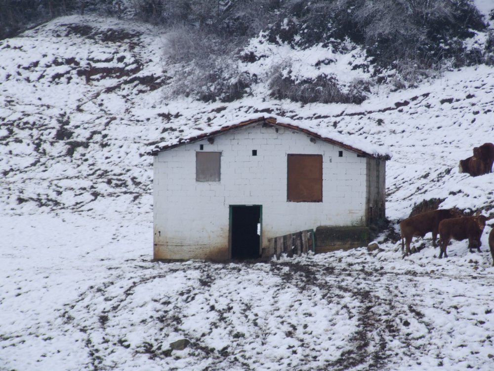 Foto de Vega de Carriedo (Cantabria), España