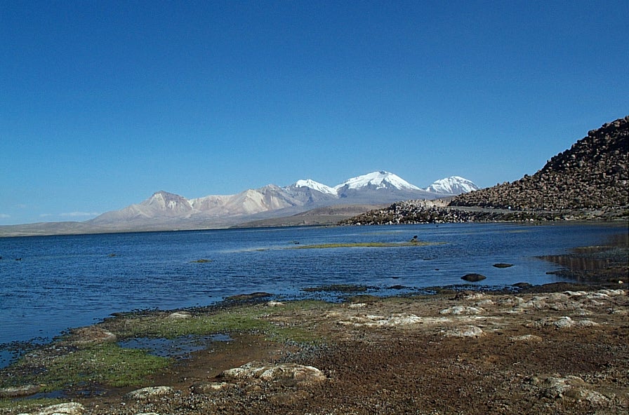 Foto de Lago Chungará, Chile